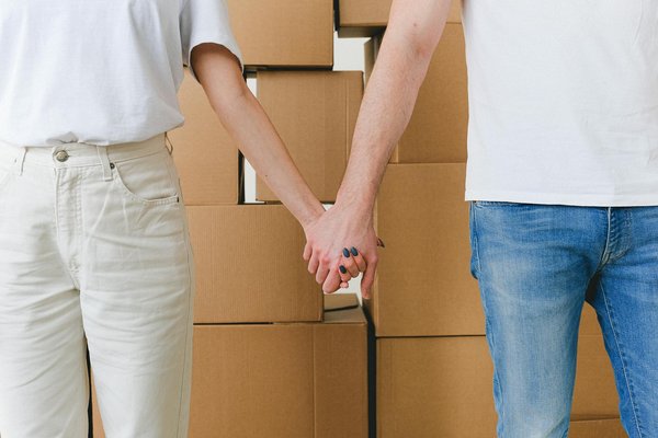 Ajoutez une touche exotique à votre jardin avec le sapin Araucaria